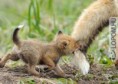 /album/fenykepgaleria/images-13-jpg/